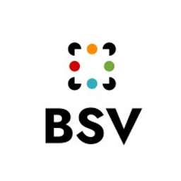 BSV Ventures Logo