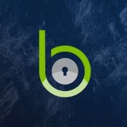 Blackpoint Cyber logo