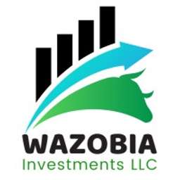Wazobia Investments logo