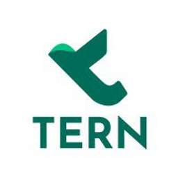 Tern Group logo