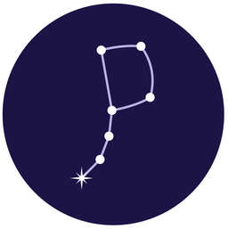 Polaris Genomics logo