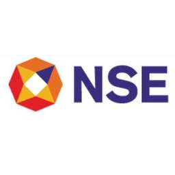 National Stock Exchange Logo
