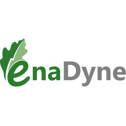 enadyne logo