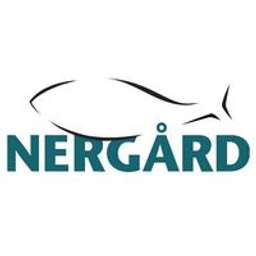 The Nergard Group logo