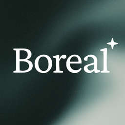 Boreal Ventures logo