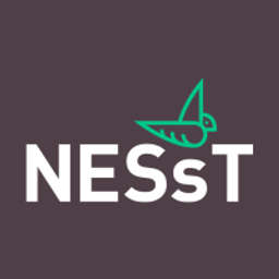 NESsT logo