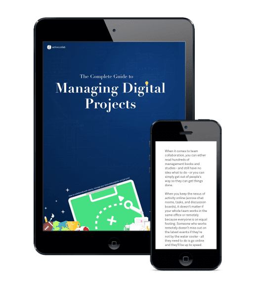 Free business ebook 3: Managing Digital Projects