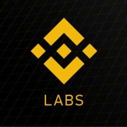 YZi Labs logo