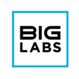 BIG Labs logo
