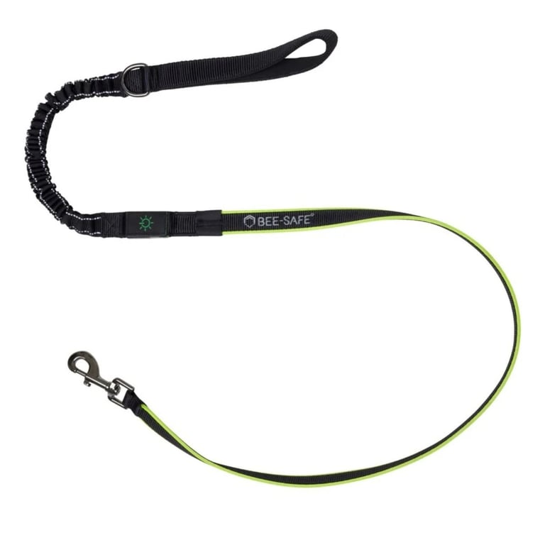 Dog Leash LED USB