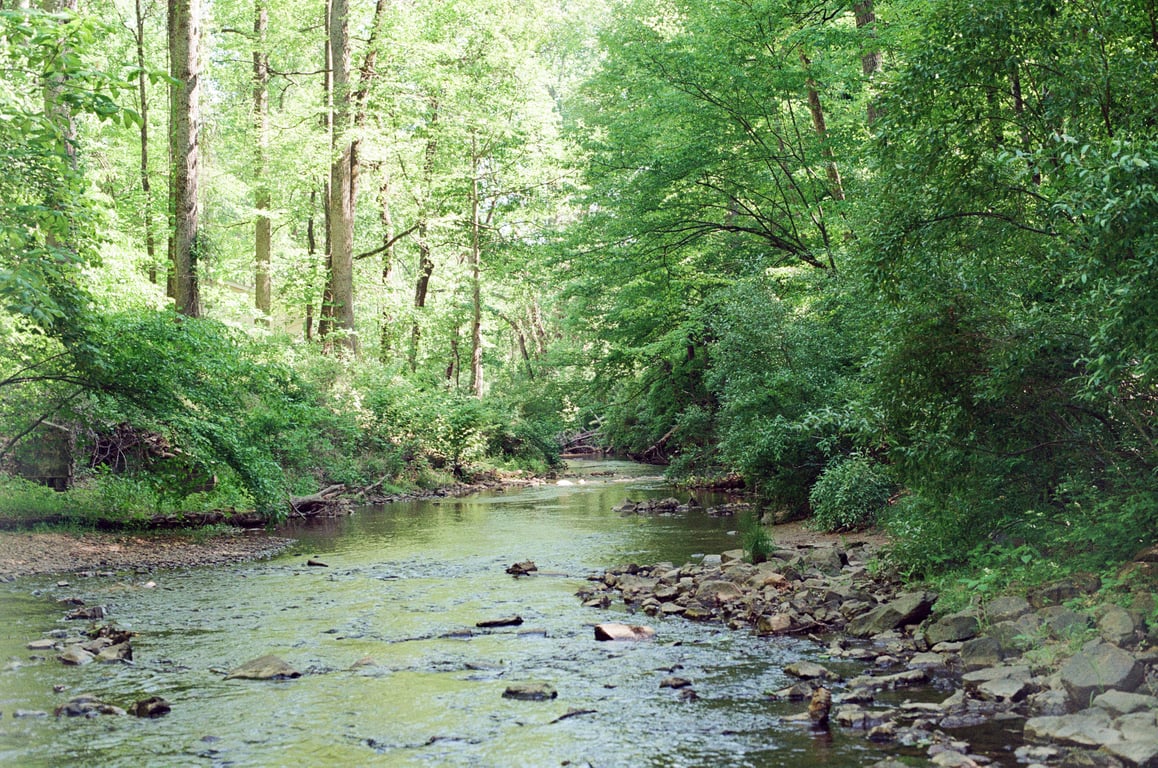 Stream on the Rivanna Trail