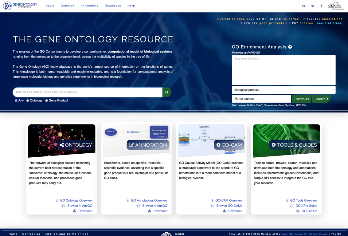 GO landing page