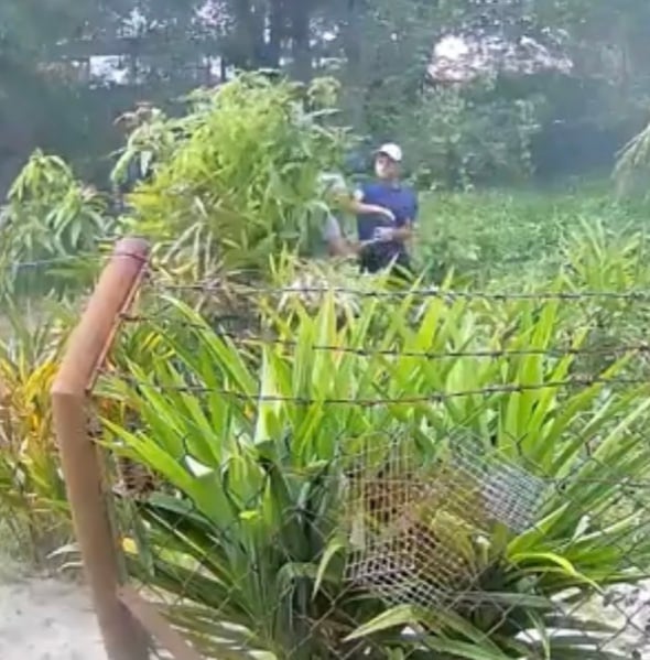 Man hits old woman till she falls on the ground