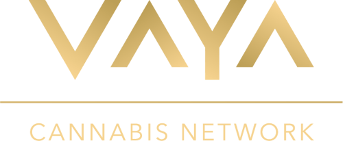 Vaya Cannabis Network