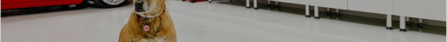 Ulti-MATE Garage Cabinets