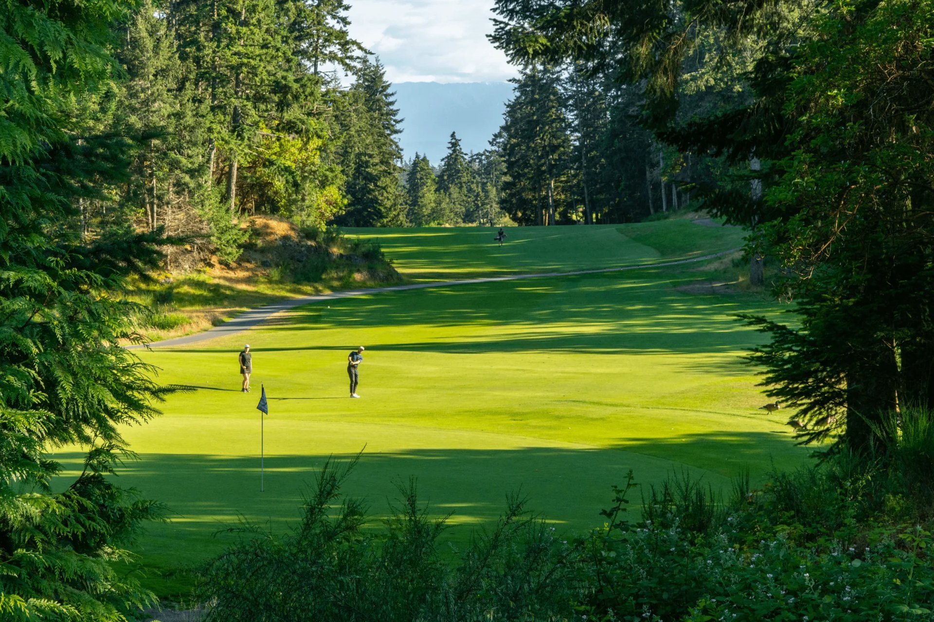Olympic View Golf Course — Image 3