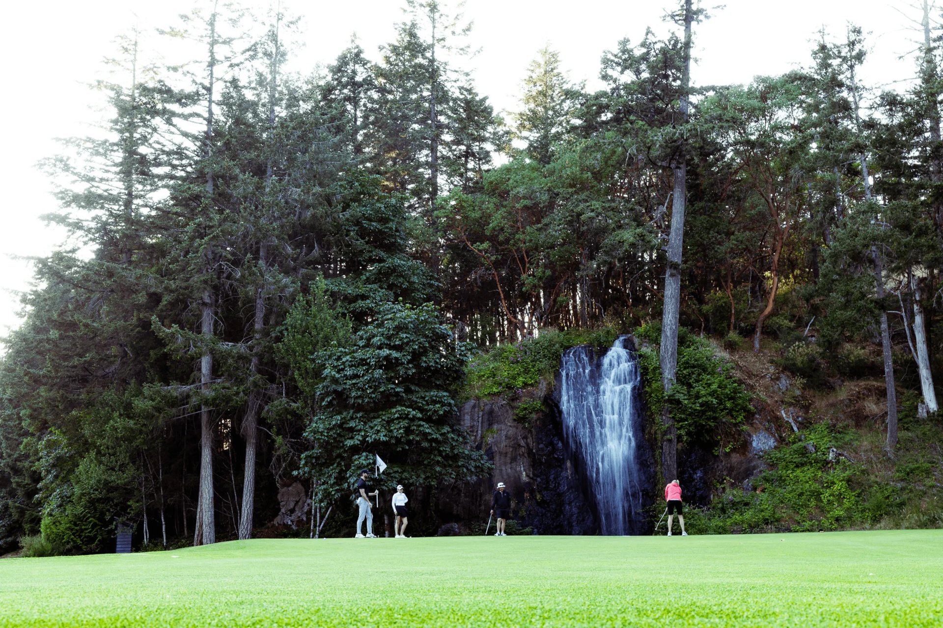 Olympic View Golf Course — Image 4