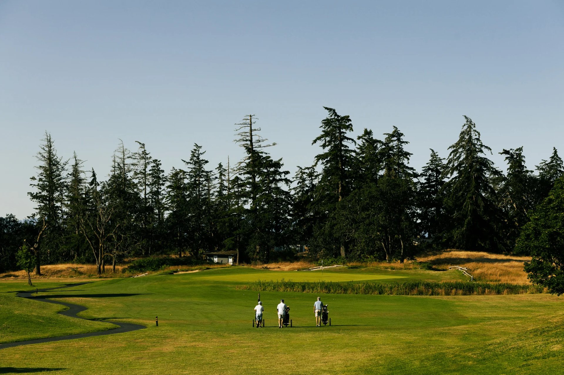 Olympic View Golf Course — Image 5