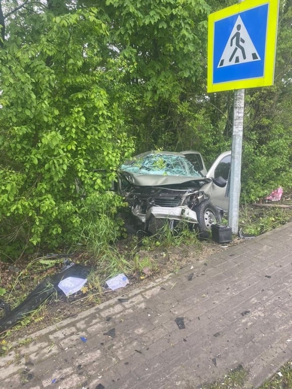 Автомобиль попавший в ДТП. Фото: Полиция Львовщины