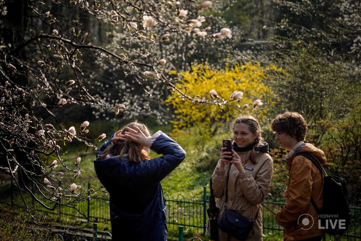 Магнолії в ботсаду ім.Фоміна