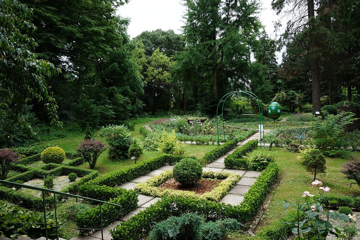 растения растут в тени