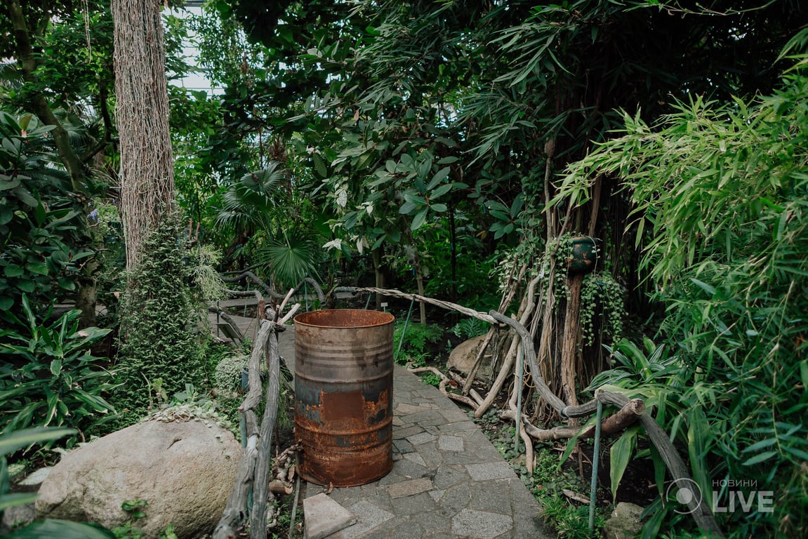 ботсад оранжерея