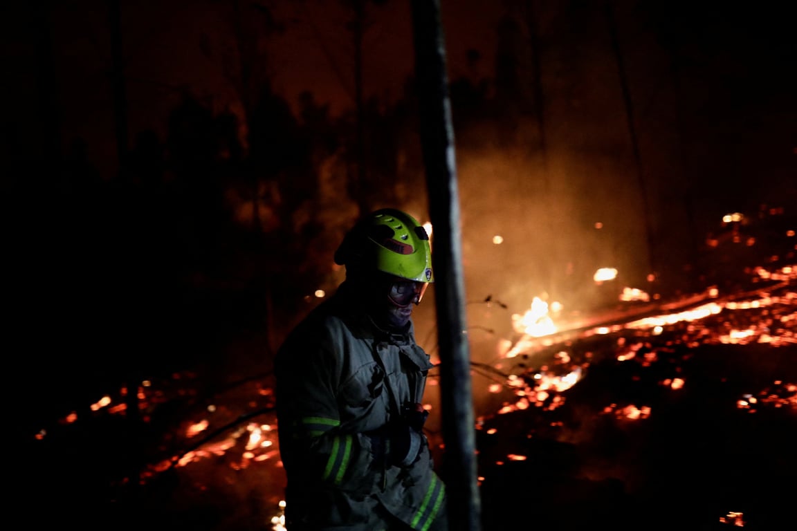 Лесные пожары в Чили