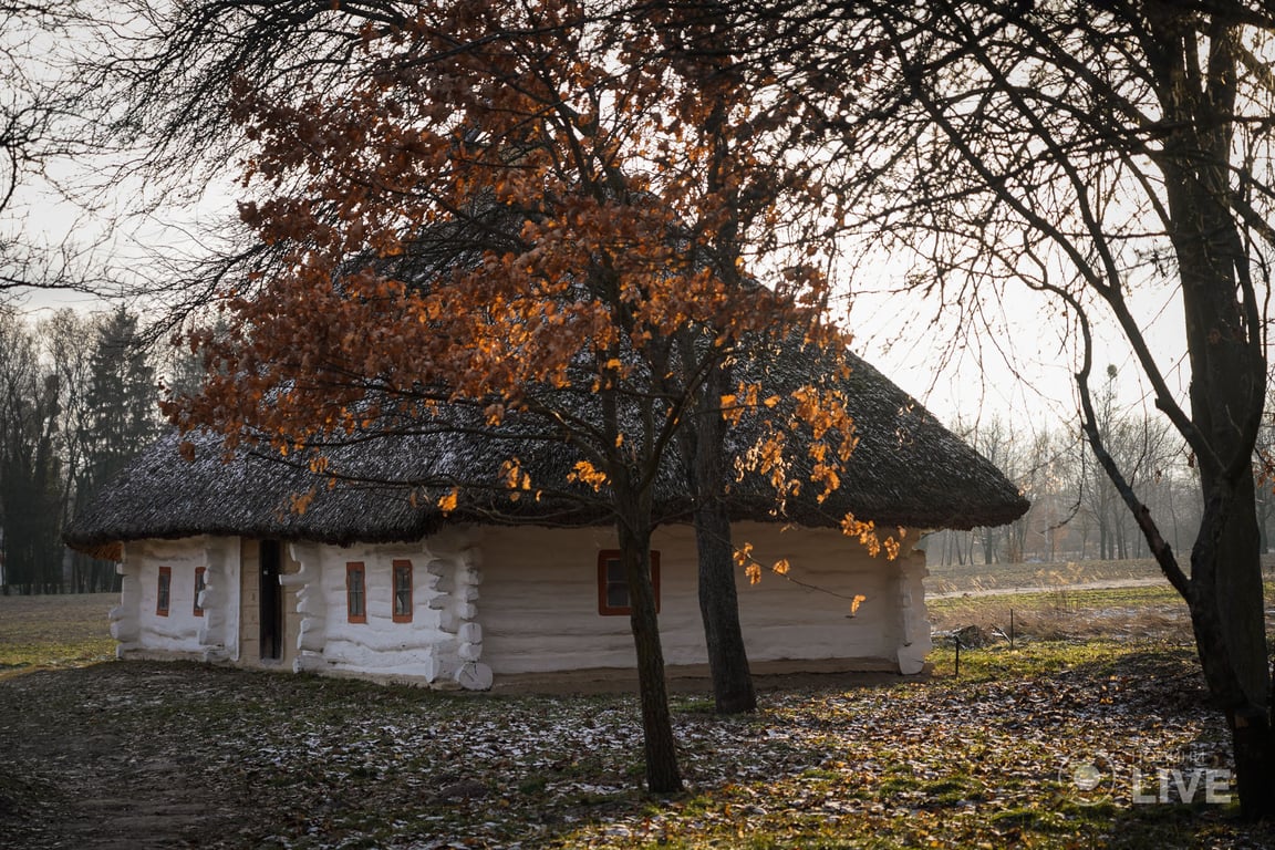 Різдво в Пирогово