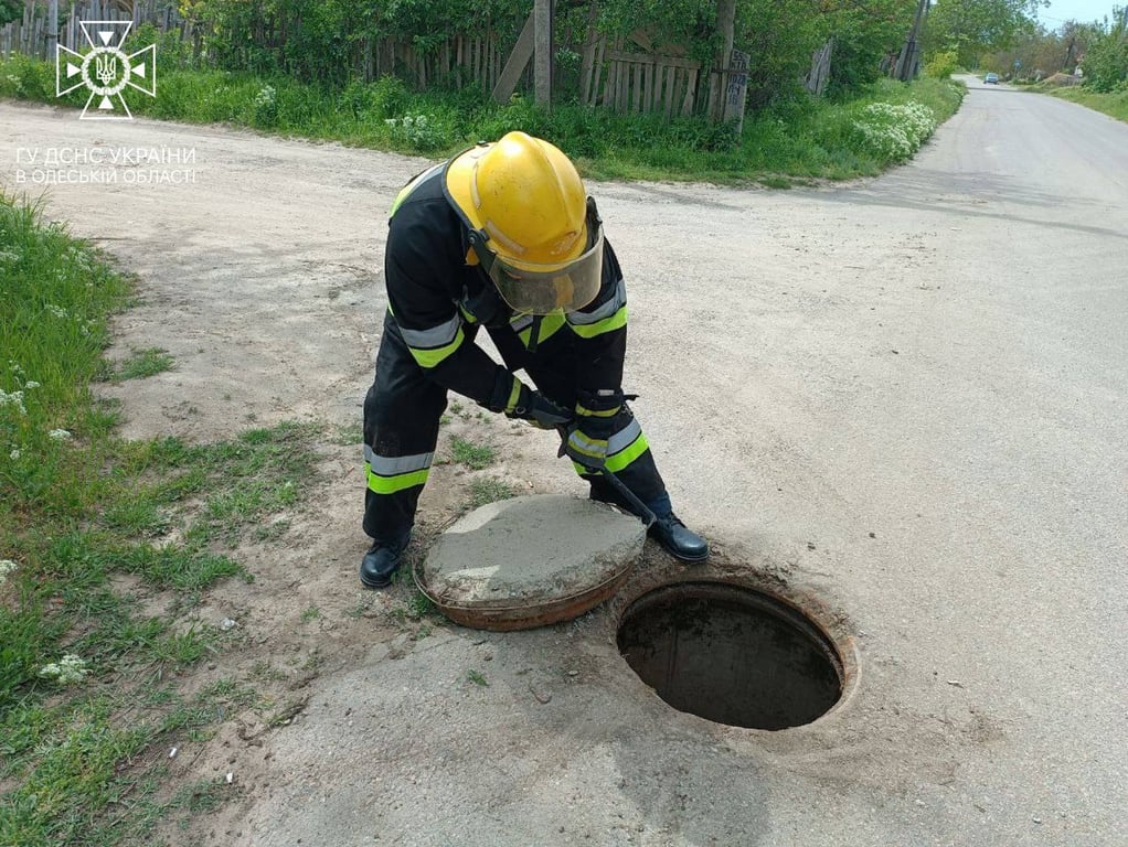 Рятувальники дістають собаку з люка. Фото: ДСНС в Одеській області. 
