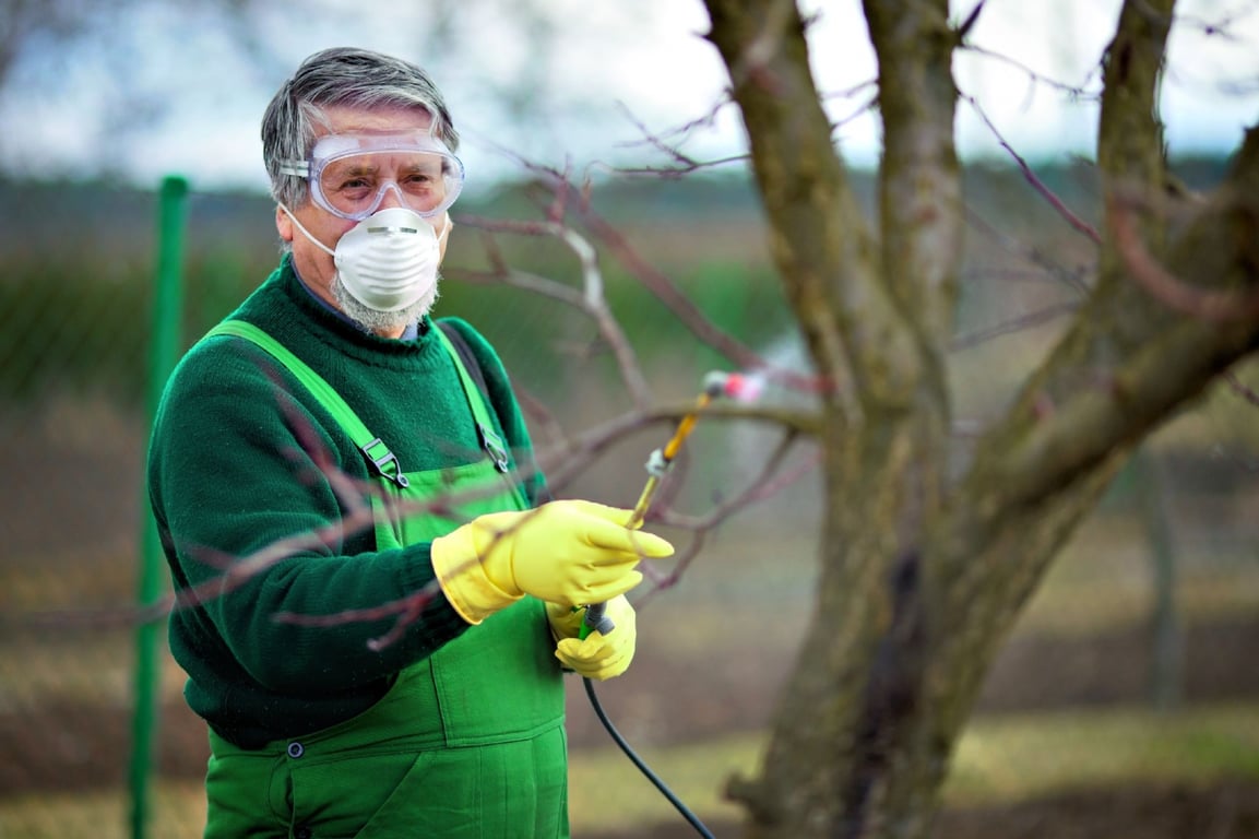 Коли найкраще обробляти плодові дерева весною