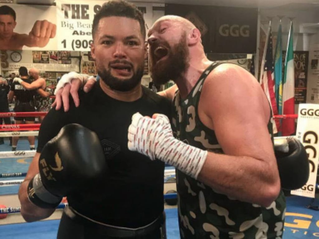 Джойс и Фьюри