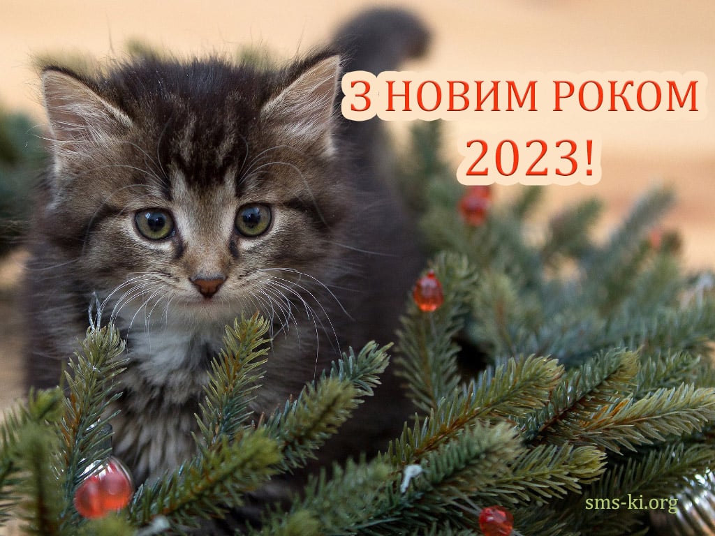 С Новым годом 2023 — картинка