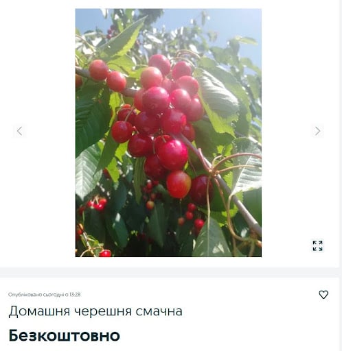 Что можно бесплатно найти в интернете