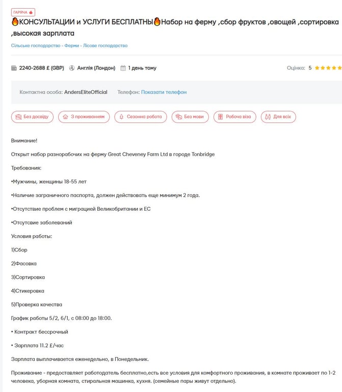 Збір полуниці в Англії