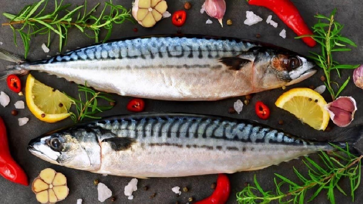 Как приготовить запеченную скумбрию - рецепт пасхального блюда