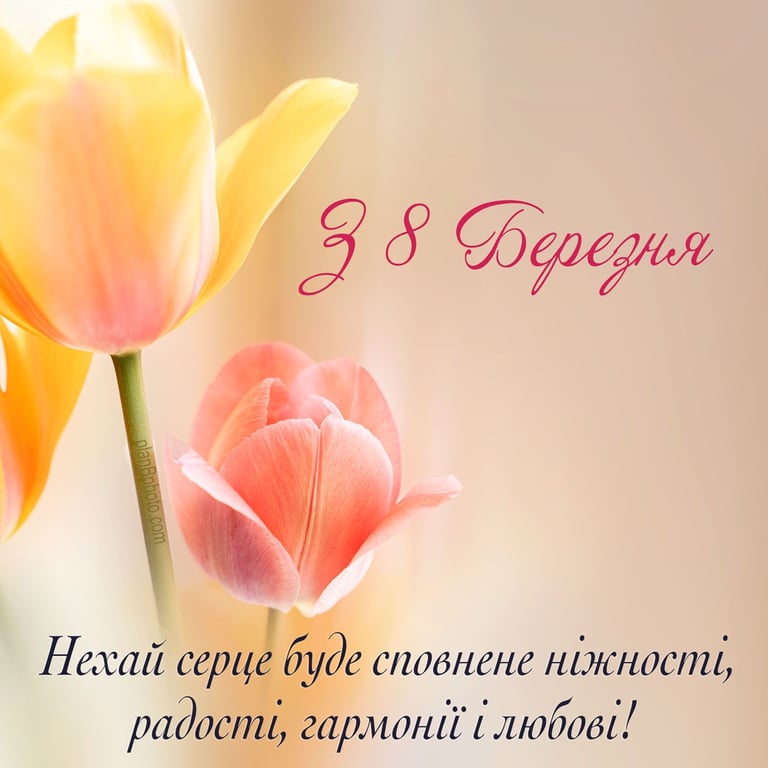 Красивые открытки с 8 марта: как поздравить женщин с праздником.