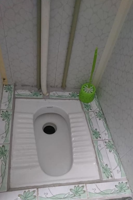 підлоговий туалет.jpg