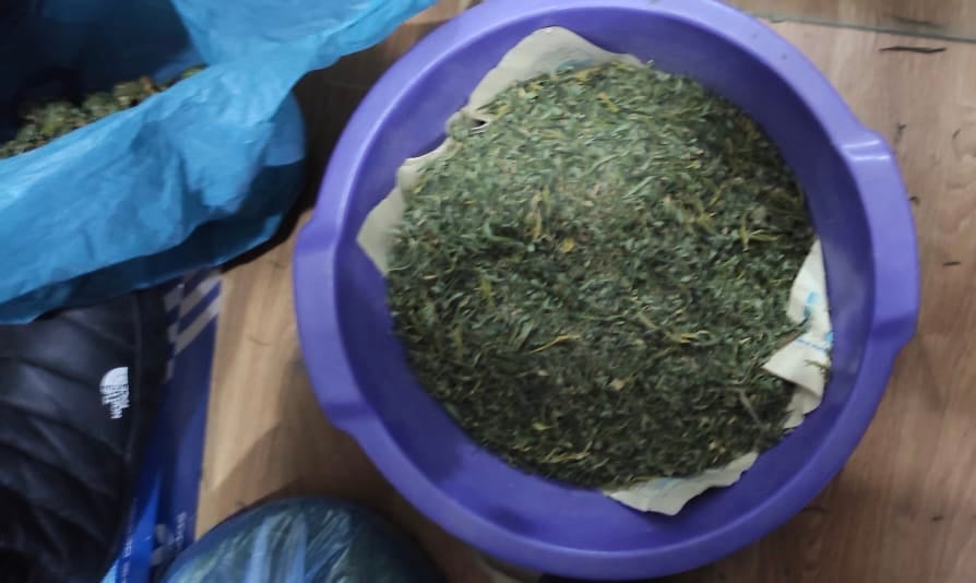 Удален каннабис. Фото: ГУНП в Одесской области