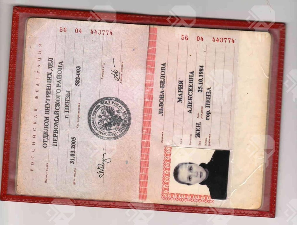 киберпартизаны