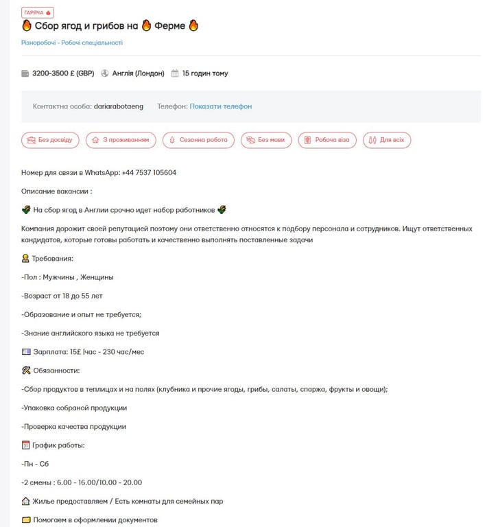 Сезонна робота у Великій Британії