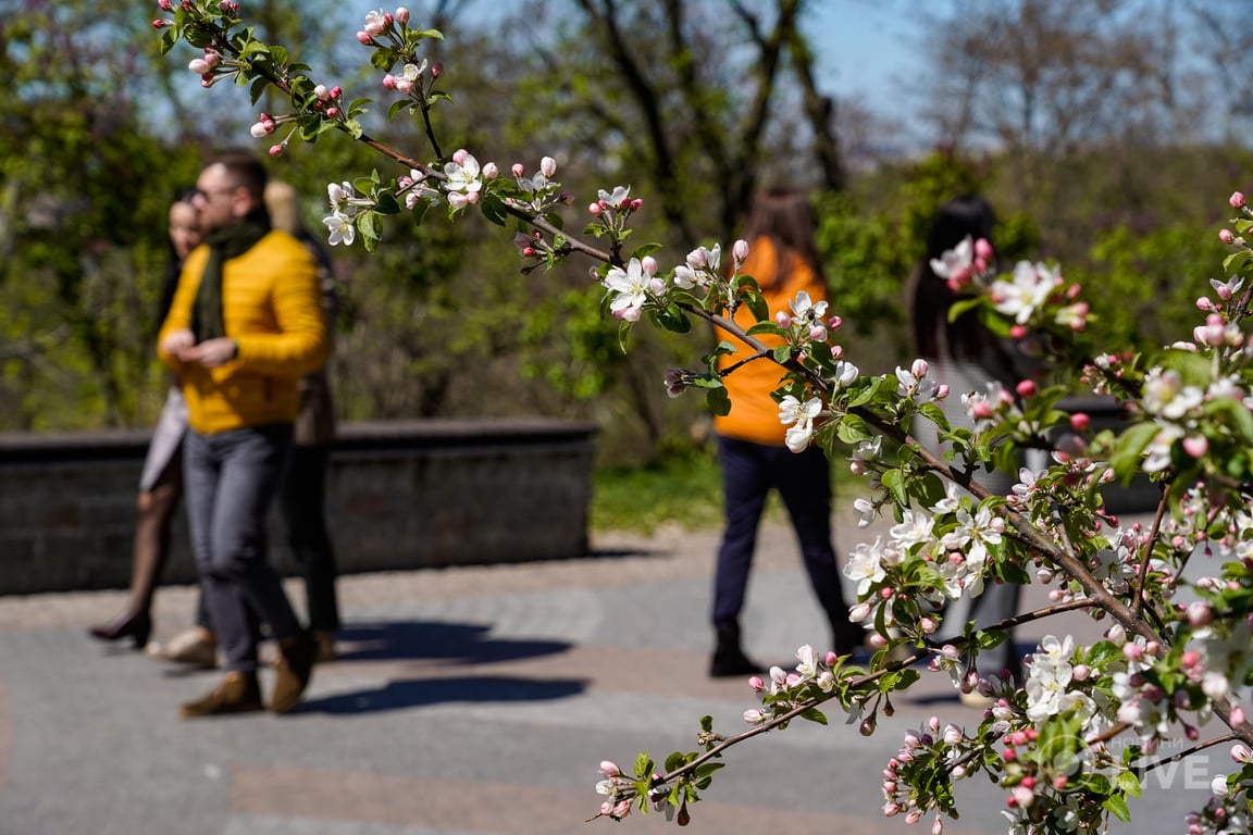 Весна в Киеве