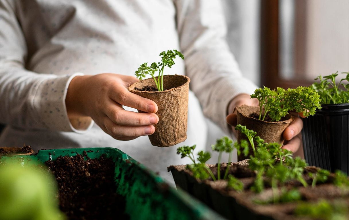 Благоприятные дни для посадки в феврале 2023 г.