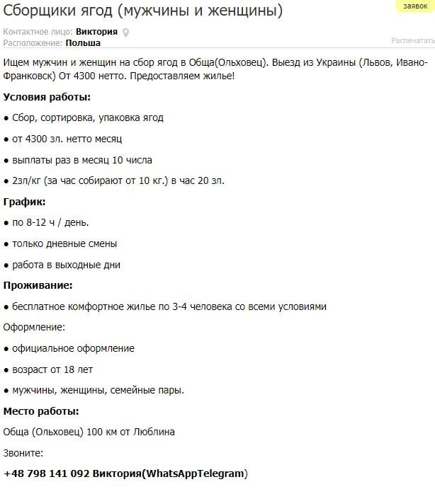 Збір полуниці в Європі