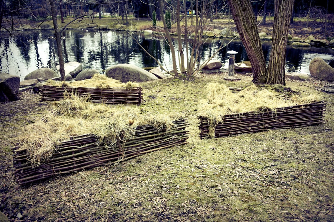 Пеликаны в Киевском зоопарке