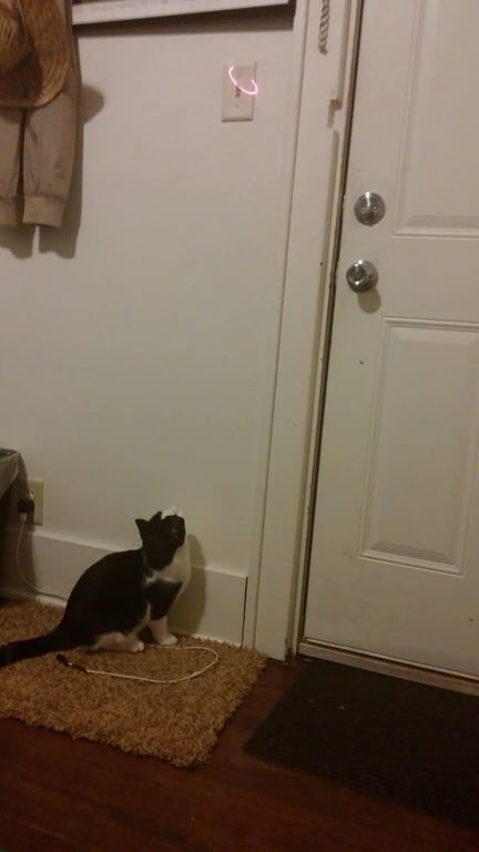 Курйозні фото лінивих людей