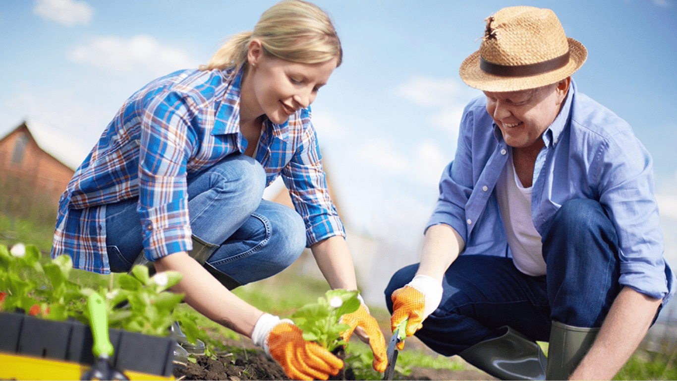 Какие овощи стоит сажать рядом на грядке — полезные советы огородников исадоводов