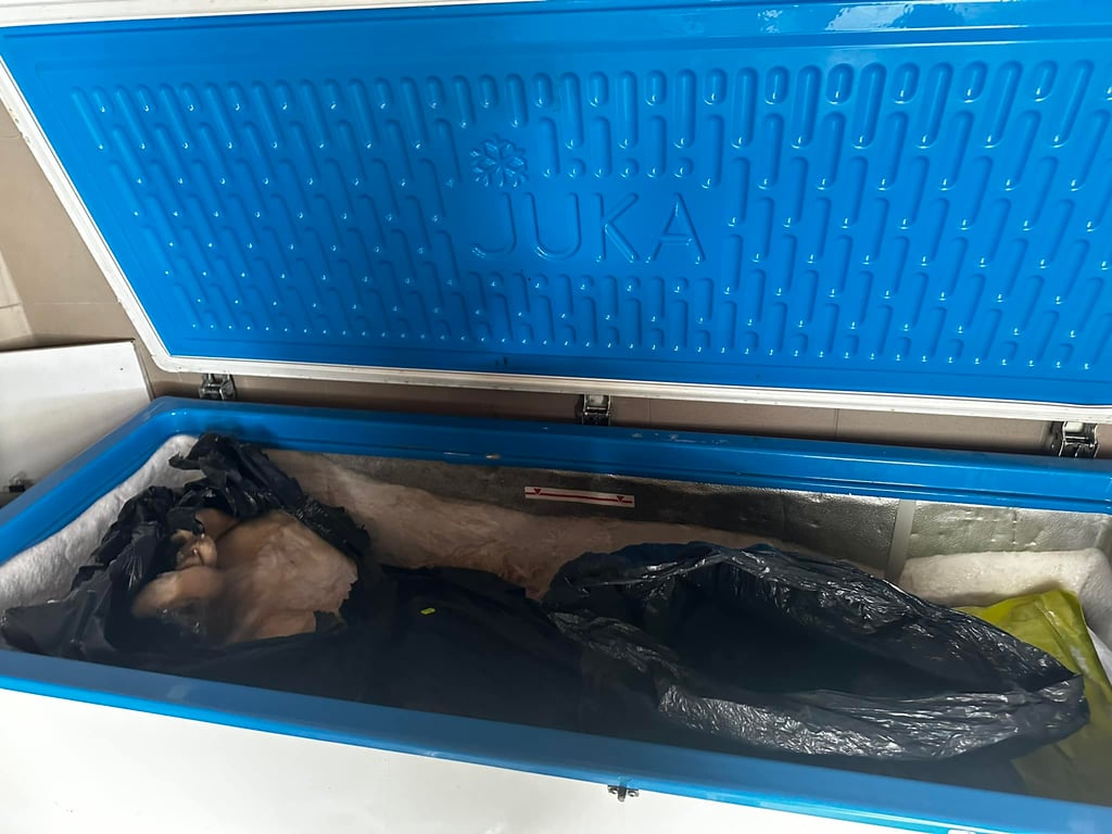 Тіла собак в холодильнику. Фото: Юлія Раділінська