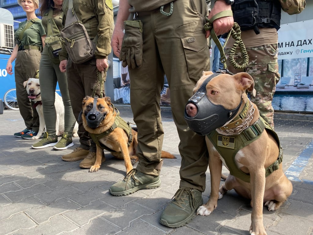 В Одессе будут патрулировать и собаки. Фото: ГУНП в Одесской области