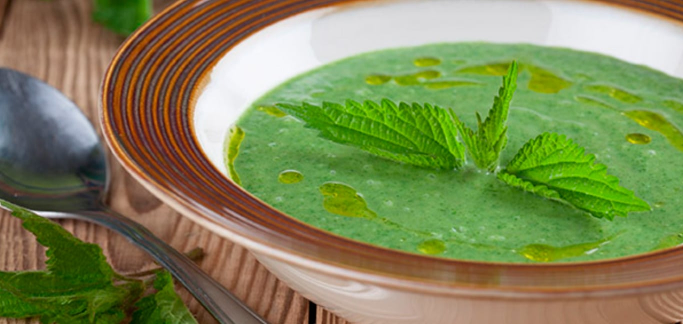 Рецепт мачанки с крапивой.