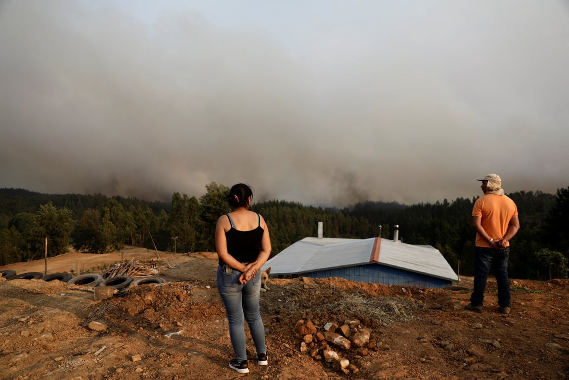 Лесные пожары в Чили